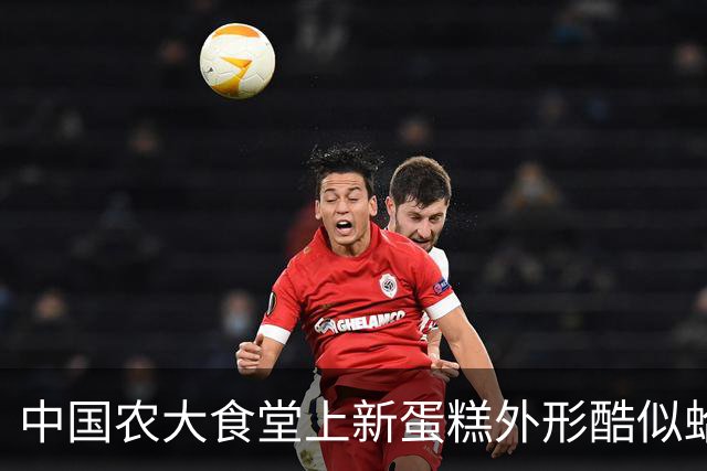 中国农大食堂上新蛋糕外形酷似蛤蟆走红，每块售价9.9元，学生：很多人抢购，就是抹茶口味