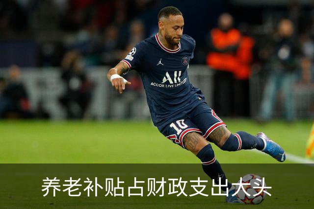 养老补贴占财政支出大头