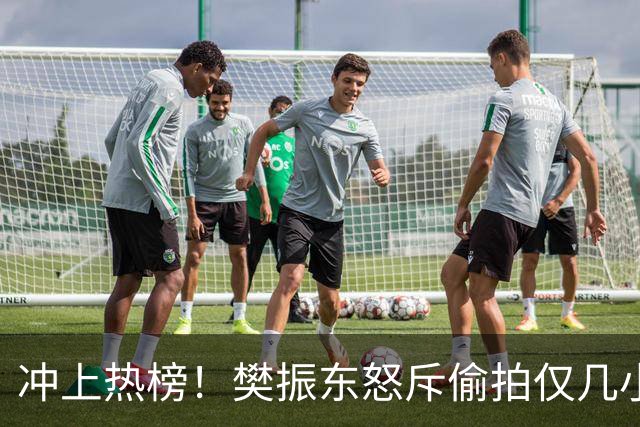 冲上热榜！樊振东怒斥偷拍仅几小时，评论区热议，这次不再一边倒