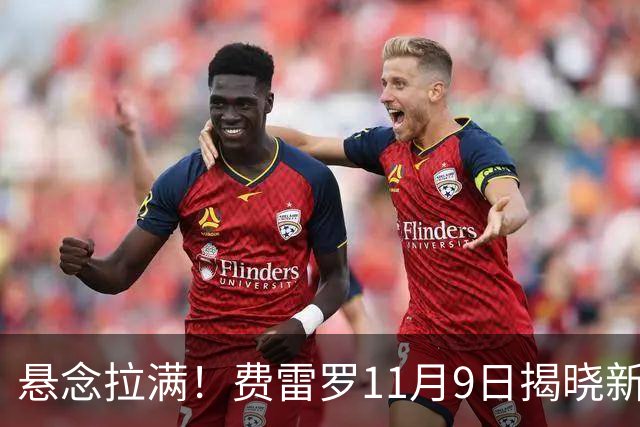 悬念拉满！费雷罗11月9日揭晓新弟子，霍达尔成最大热门