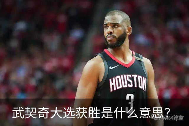 武契奇大选获胜是什么意思？