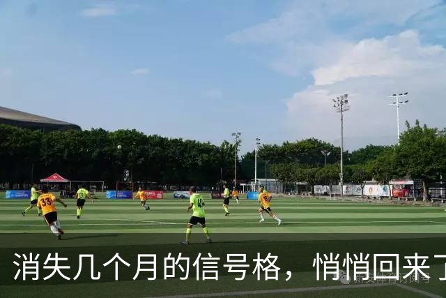 消失几个月的信号格，悄悄回来了