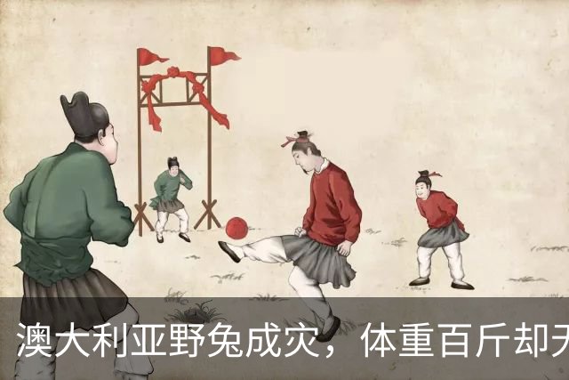 澳大利亚野兔成灾，体重百斤却无人食用，当地人给出答案：不敢吃