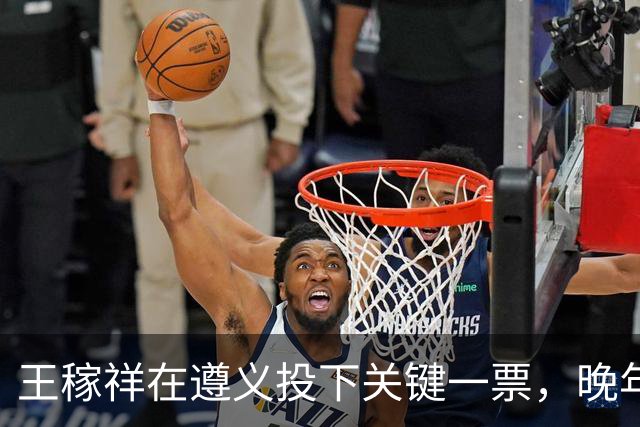王稼祥在遵义投下关键一票，晚年请求分配工作，毛主席作出怎样批示？