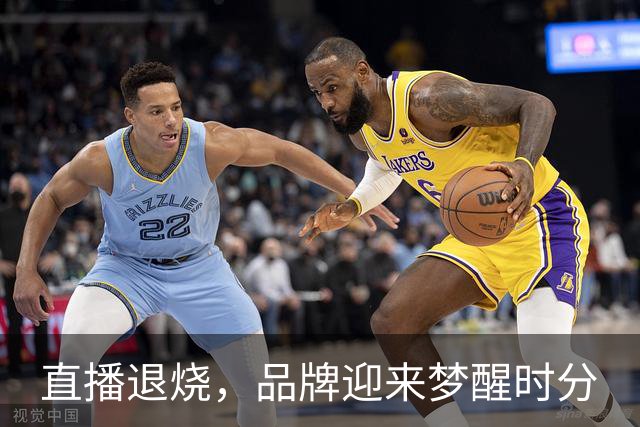 直播退烧，品牌迎来梦醒时分
