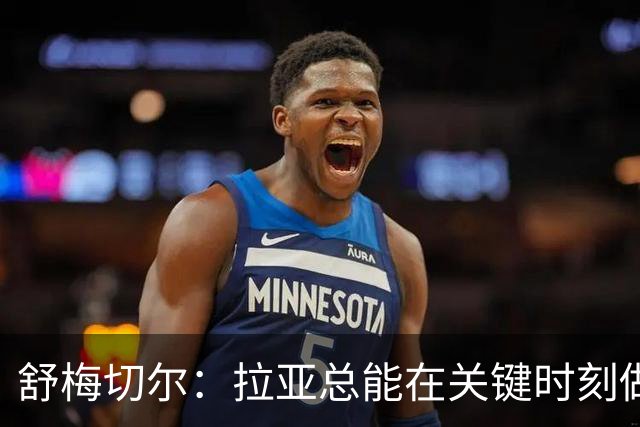 舒梅切尔：拉亚总能在关键时刻做出扑救，他出击摘高空球也进步了