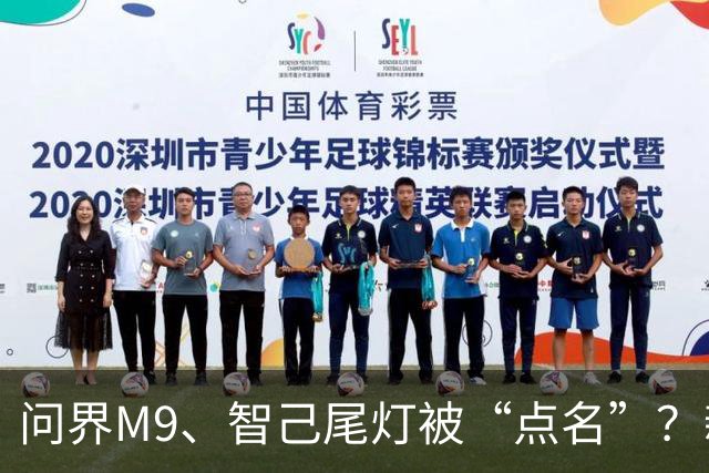问界M9、智己尾灯被“点名”？新规：车灯不许卖萌